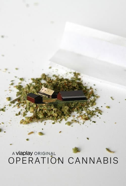 Operation Cannabis poster