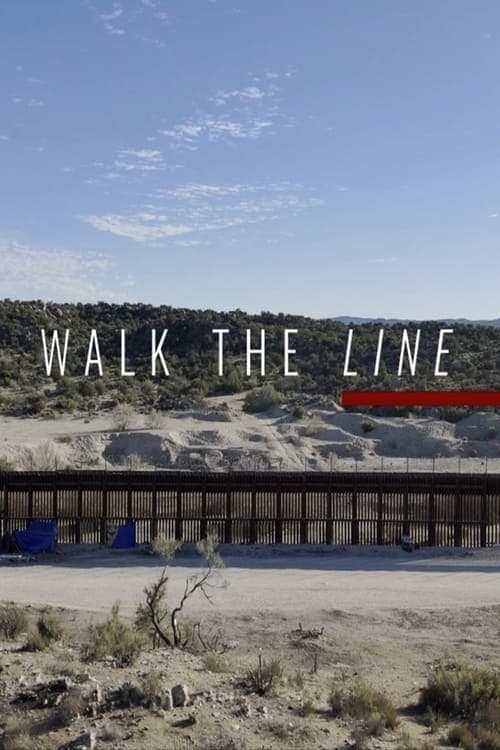Walk The Line poster