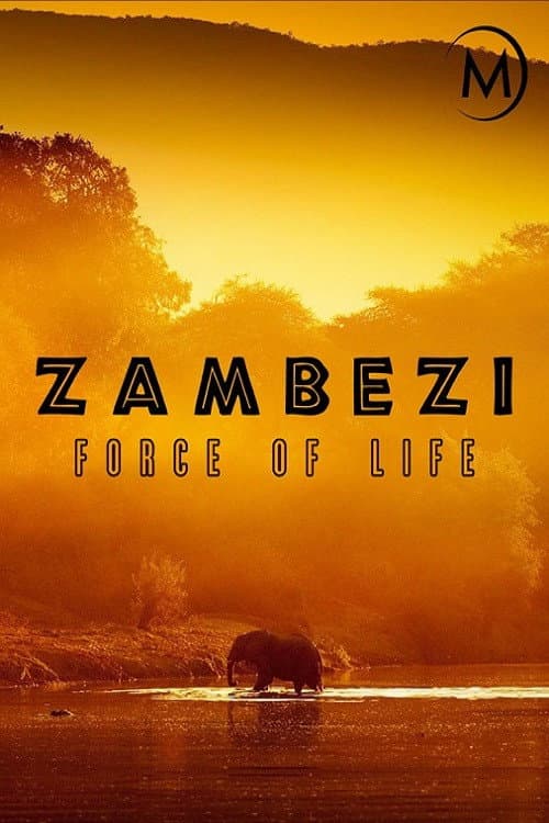 Zambezi: Force of Life poster