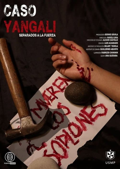 Caso Yangali: Separados a la fuerza poster