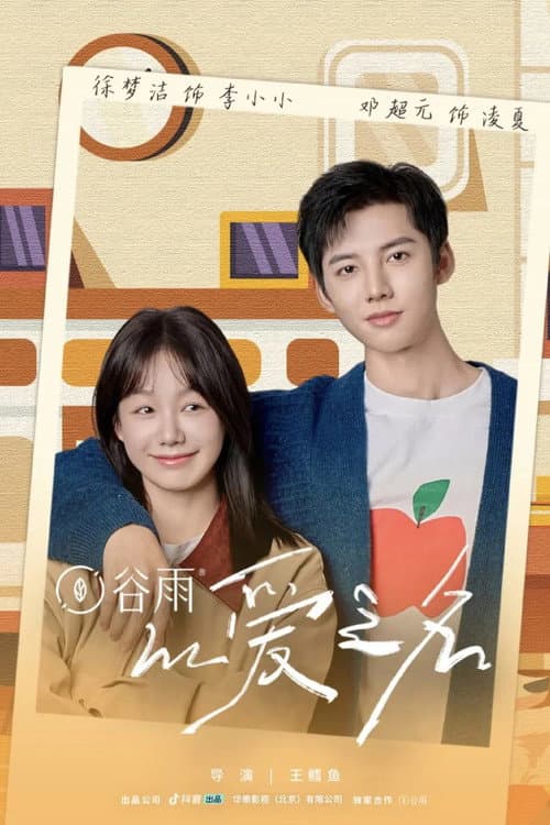 以爱之名 poster