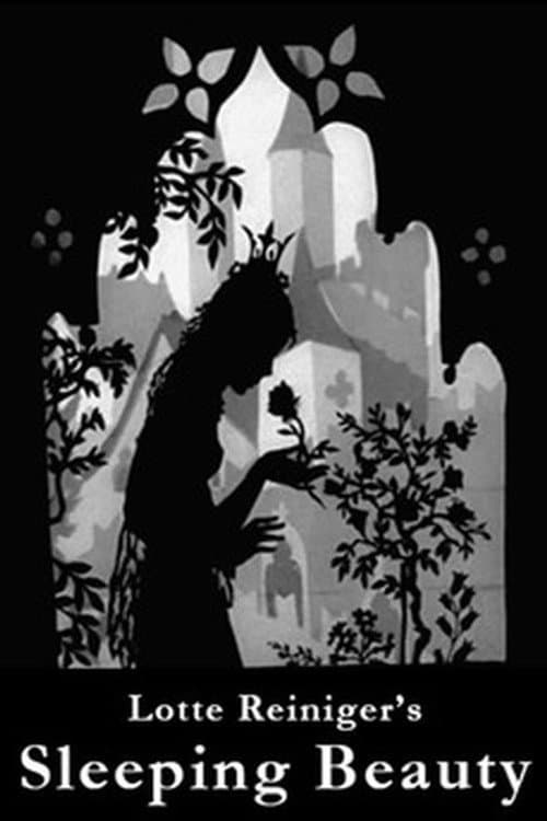 Sleeping Beauty poster