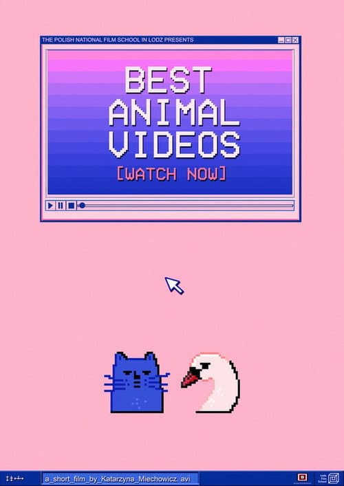 BEST ANIMAL VIDEOS [WATCH NOW] poster