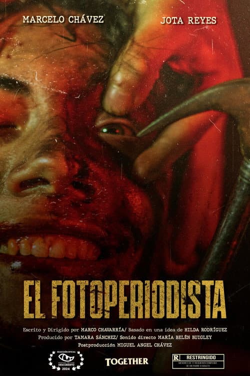 The photojournalist poster