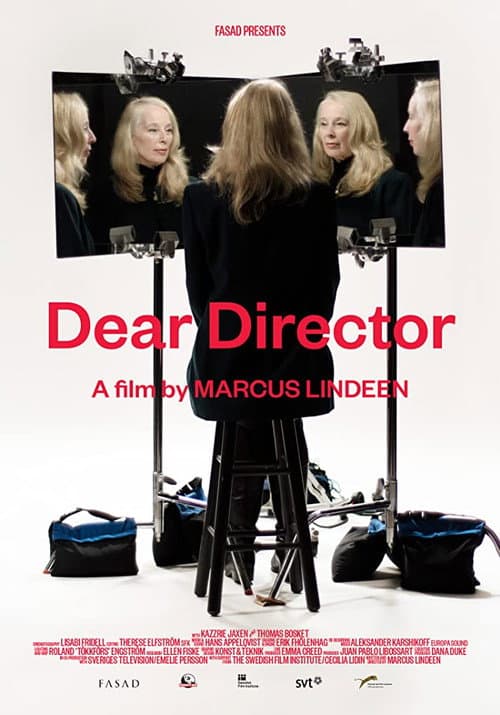 Dear Director poster