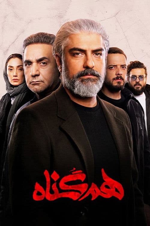 The Accomplice poster