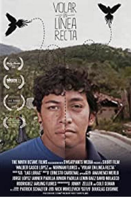 To Fly in a Straight Line poster