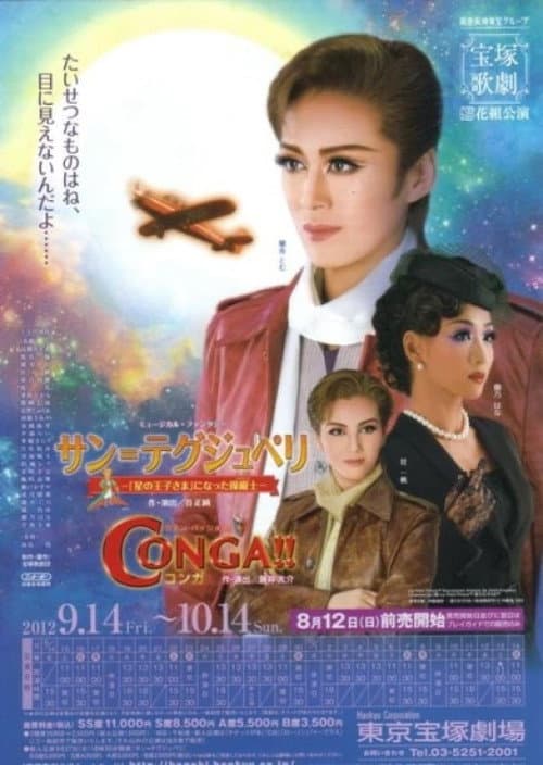 Saint-Exupéry -The Pilot Who Became "The Little Prince"- poster