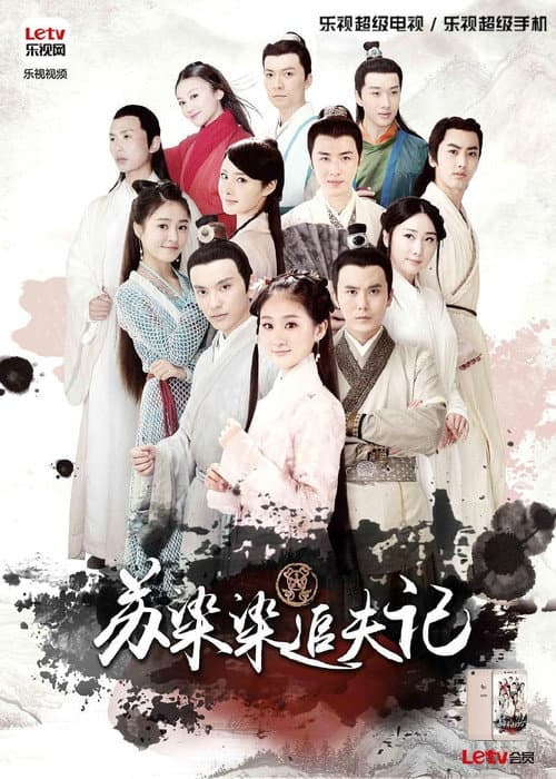 苏染染追夫记 poster