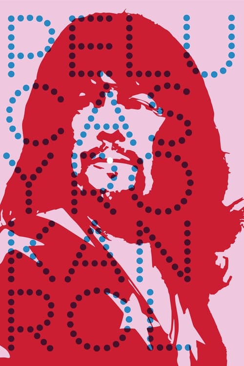 Pelucas y rokanrol poster