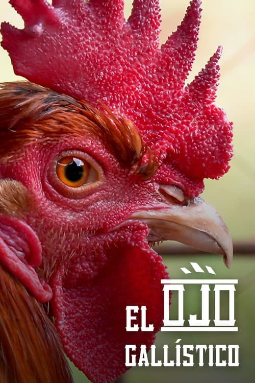 Through the Gaze of the Cockfighter poster