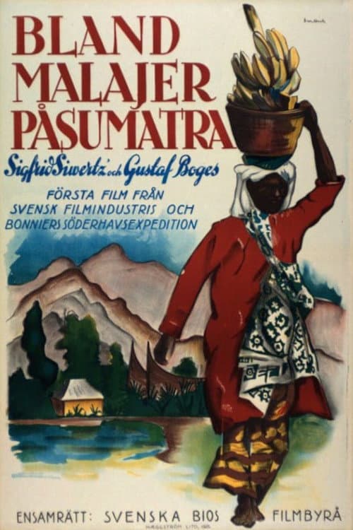 With Malays in Sumatra poster
