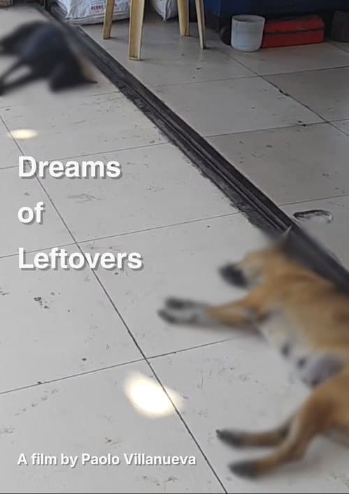 Dreams of Leftovers poster