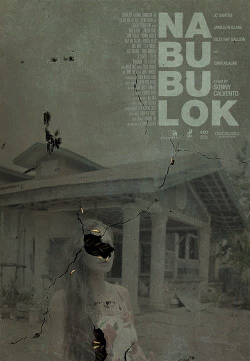 The Decaying poster