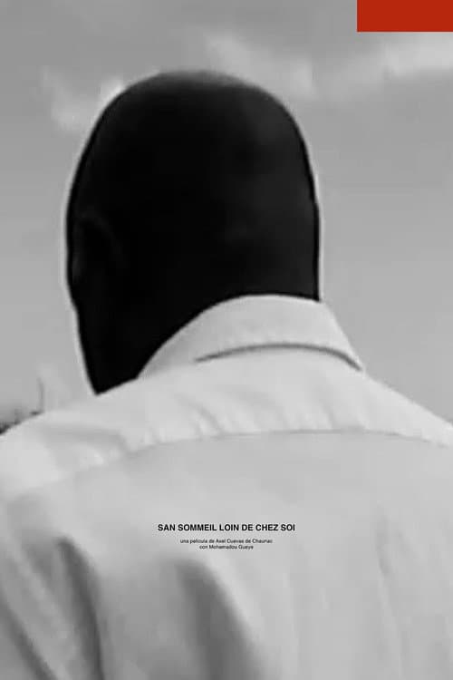 Sleepless far from home poster