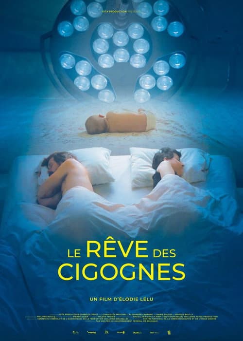 Dream of Storks poster