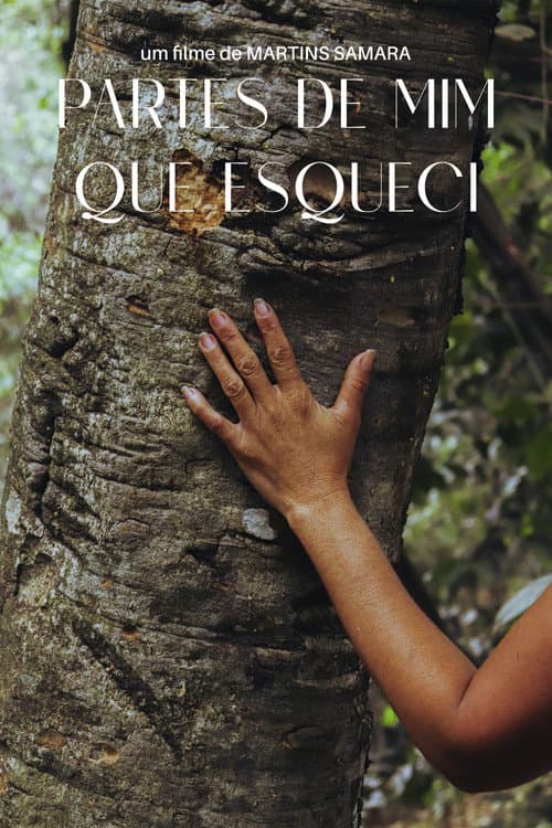 Partes de Mim que Esqueci poster