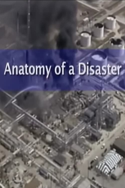 Anatomy of a Disaster: Explosion at BP Texas City Refinery poster