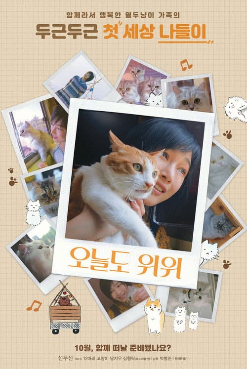 The Journey of the 12 Cats poster