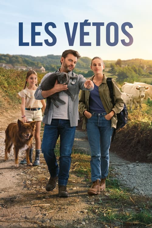 The Vets poster