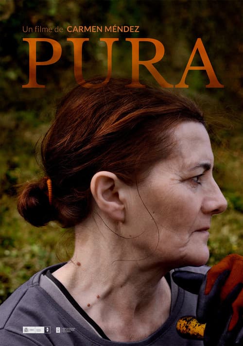 Pura poster