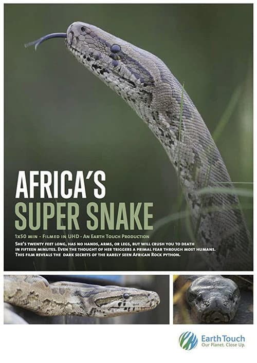Africa's Super Snake poster