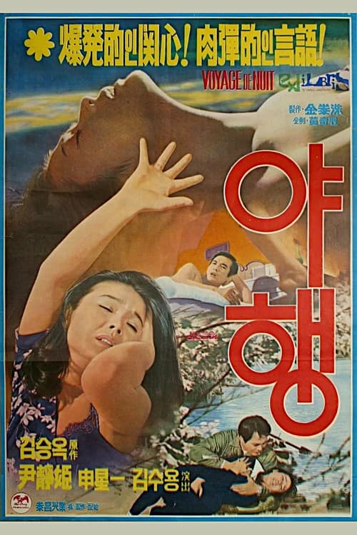 Night Journey poster