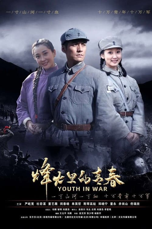 烽火硝烟里的青春 poster
