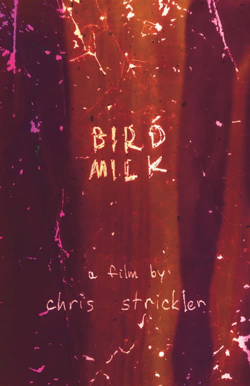 Bird Milk poster