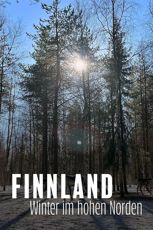 Finnland - Winter im hohen Norden poster