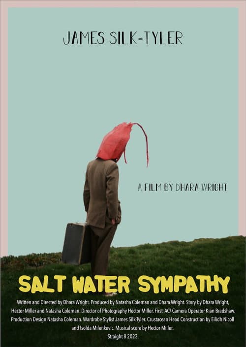 Salt Water Sympathy poster