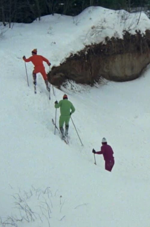 Ski de fond poster