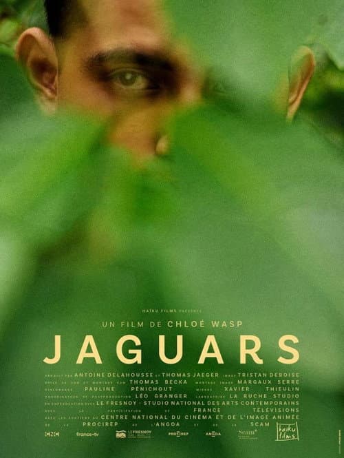 Jaguars poster