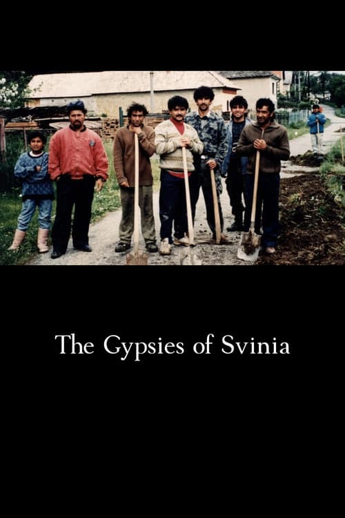 The Gypsies of Svinia poster