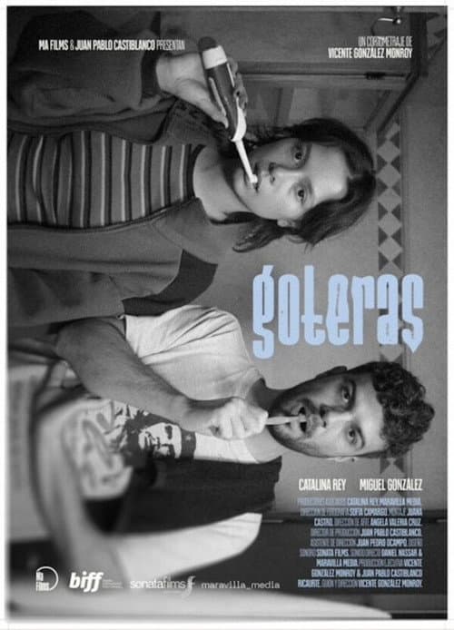 Leaks poster