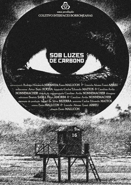 Under Carbon Lights poster