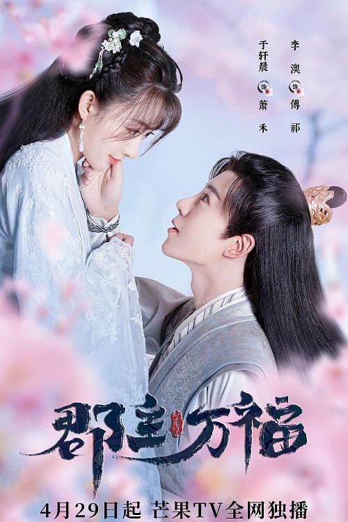 My Lucky Princess poster