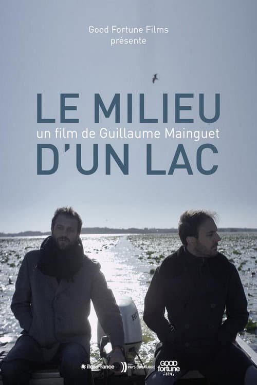 The Middle of a Lake poster
