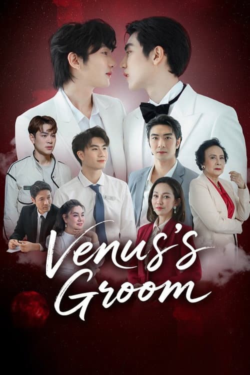 Venus's Groom poster