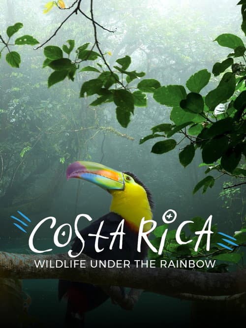 Costa Rica: Wildlife Under The Rainbow poster