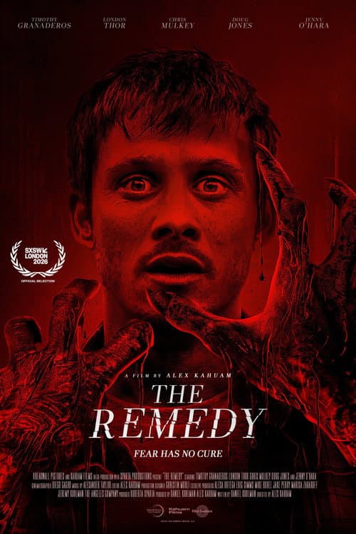 The Remedy poster
