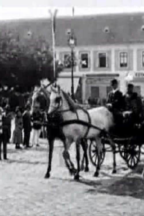 The Unveiling of the Monument to Ferenz Rakoczy poster